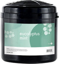 Whisper Home Monthly Plug-in Refill Eucalyptus Mint Fragrance