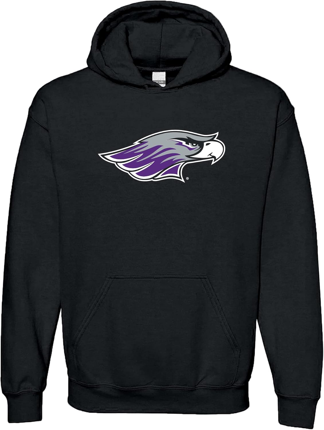 UGP Campus Apparel NCAA Primary Logo Hoodie for School Spirit