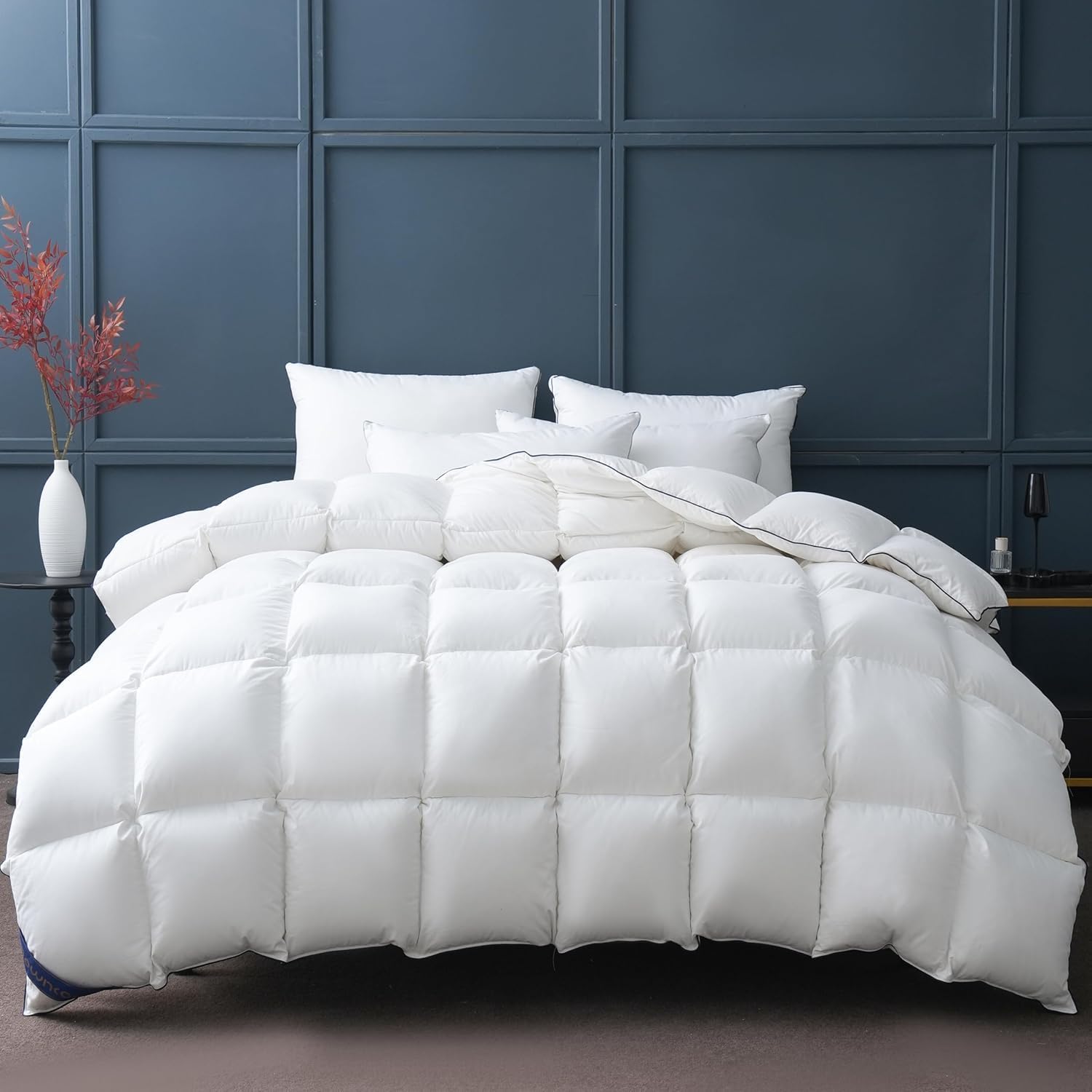 DOWNCOOL Goose Down Comforter Queen Size for All Seasons
