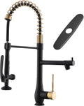 GIMILI Black and Gold Kitchen Faucet with Pull Down Sprayer - High