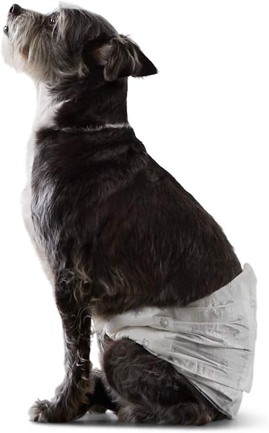 Basics Disposable Male Dog Diapers, Pack of 30, Small, Leak-Proof