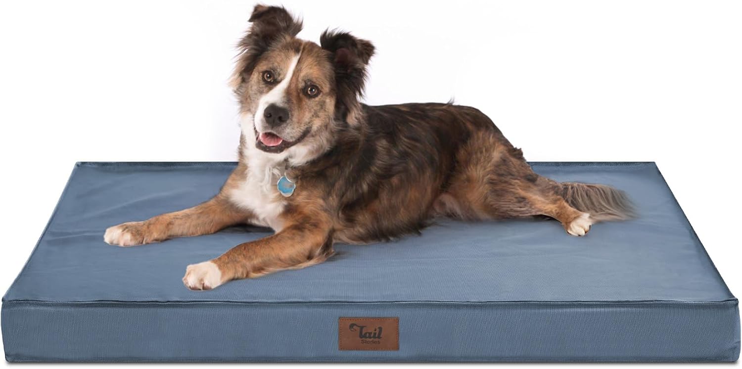 Large Outdoor All Weather Dog Bed with Orthopedic Foam Support
