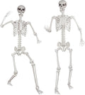 6ft Posable Halloween Skeleton - Life Size Movable Joint Decor