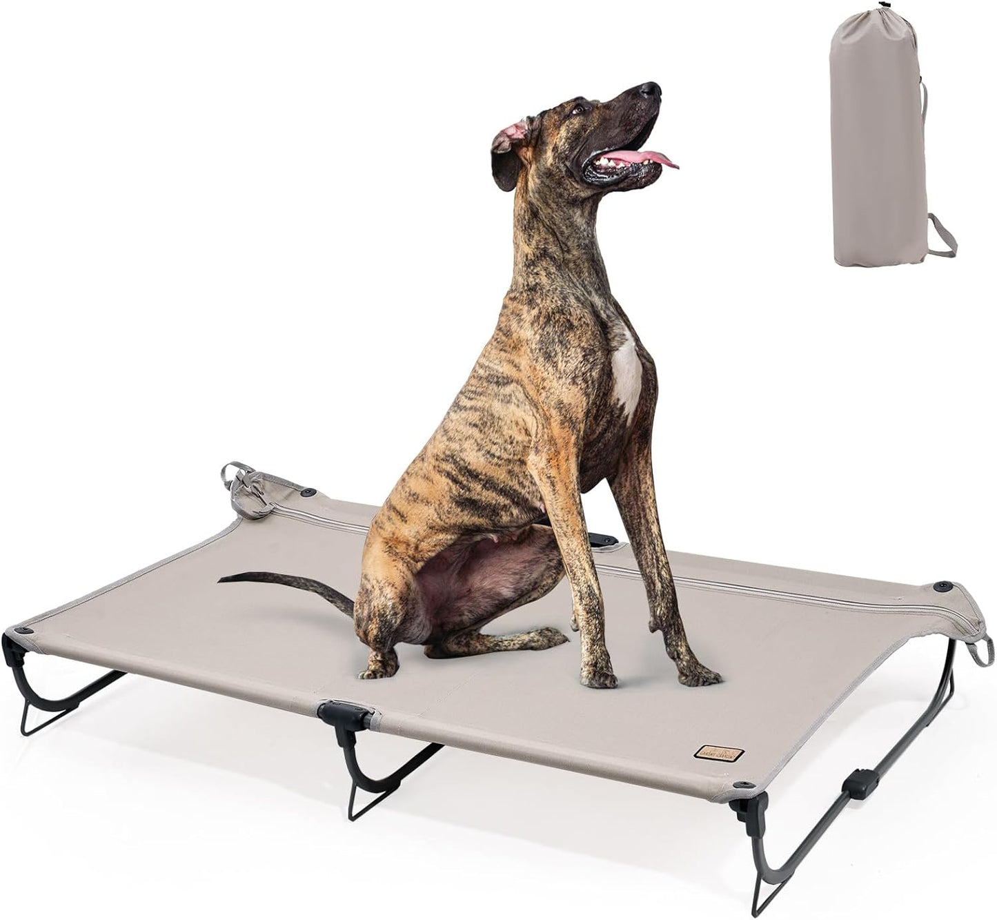Daisy Cot XL Foldable Elevated Dog Bed for Outdoor Comfort