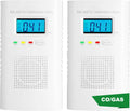Combination Gas and Carbon Monoxide Detector Plug-in - Kitchen Safety