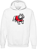UGP Campus Apparel NCAA Primary Logo Hoodie - Comfortable (Style ST6T)