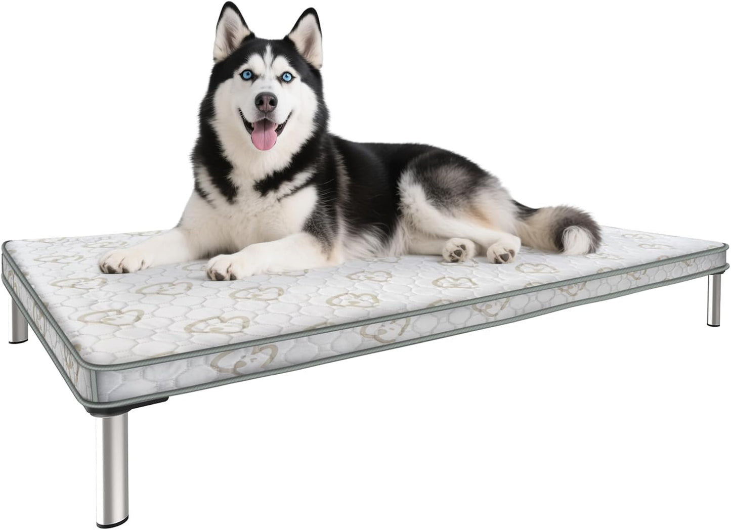 FXW TitanNest Chew-Proof Elevated Dog Bed for Medium Dogs