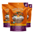 Grain-Free Pumpkin Fig Granola Clusters - Sprouted, Organic Snack
