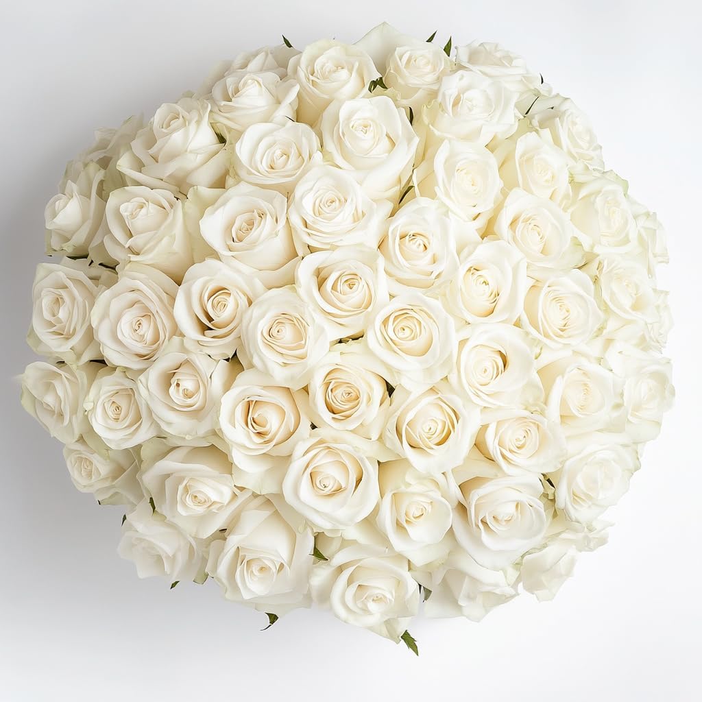 75 White Roses Bouquet - Fresh Farm Roses for Every Occasion