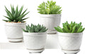 Sureasy Ceramic Plant Pots 4.7 in - Minimalist Succulent Planters