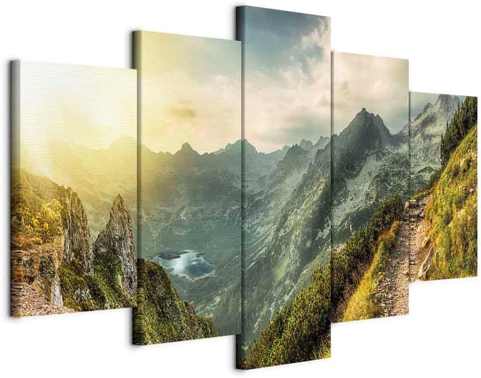 Acoustic Canvas Wall Art Nature Mountains 80x40 in 5pcs Set