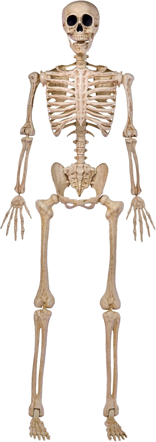 5 FT Halloween Skeleton Life Size for Spooky Decor and Parties