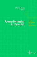 Pattern Formation in Zebrafish - of a Classic Developmental Biology