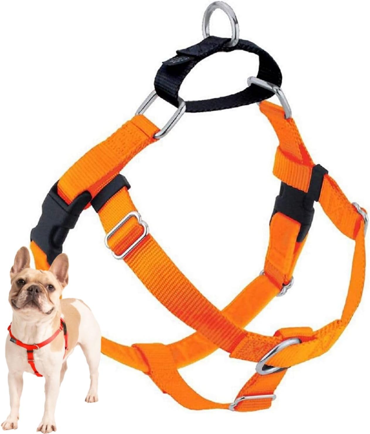 Freedom No Pull Dog Harness for Easy Walking & Control