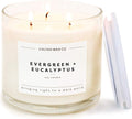 Evergreen + Eucalyptus 3 Wick Soy Candle - Clean, Long Burn