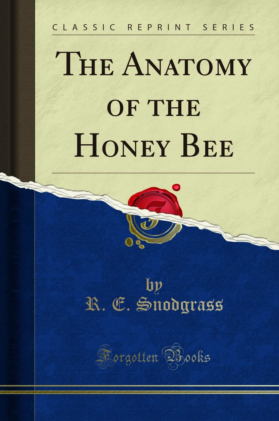 The Anatomy of the Honey Bee Classic Reprint by R. E. Snodgrass