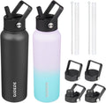 BJPKPK 2 Pack Insulated Water Bottles with Straw Lids for All