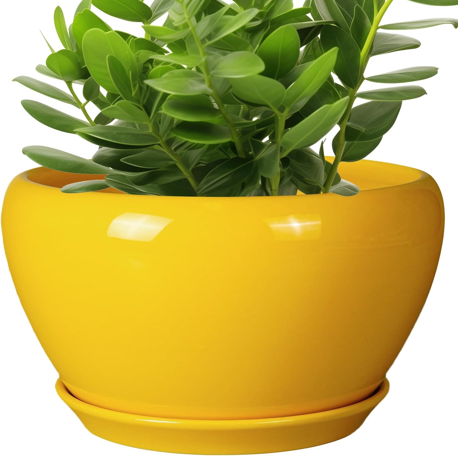Indoor Planter 11 Inch Decorative Ceramic Pot for Home Decor