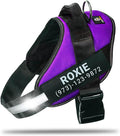 Personalized No-Pull Dog Harness with Name Patch - Purple S