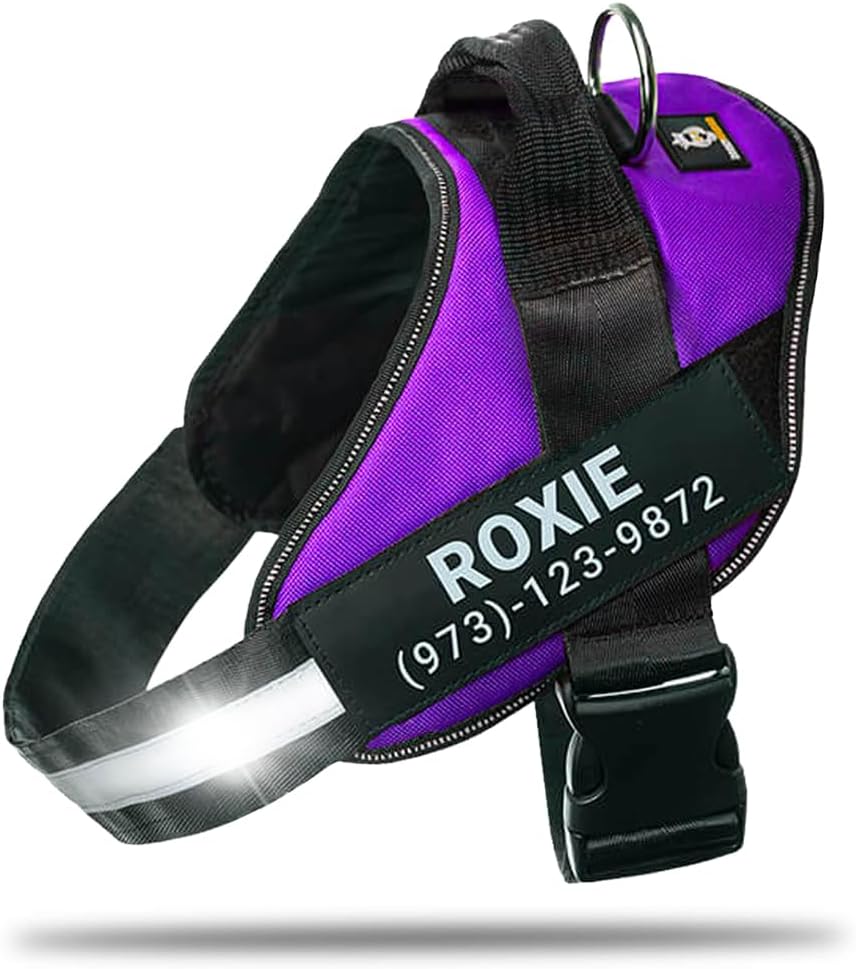 Personalized No-Pull Dog Harness for Safe and Comfortable Walks