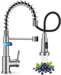 Kitchen Faucet with Pull Down Sprayer, High Arc Single Handle - Easy