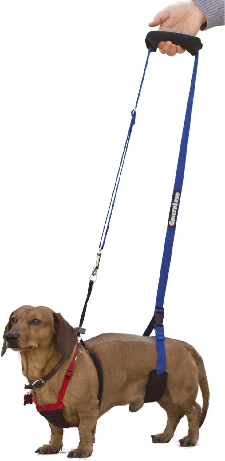 GINGERLEAD Dog Support Sling Harness for Small Pets Under 25 lbs