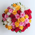 Fresh Cut Assorted Roses - 75 Roses Bouquet for Birthday