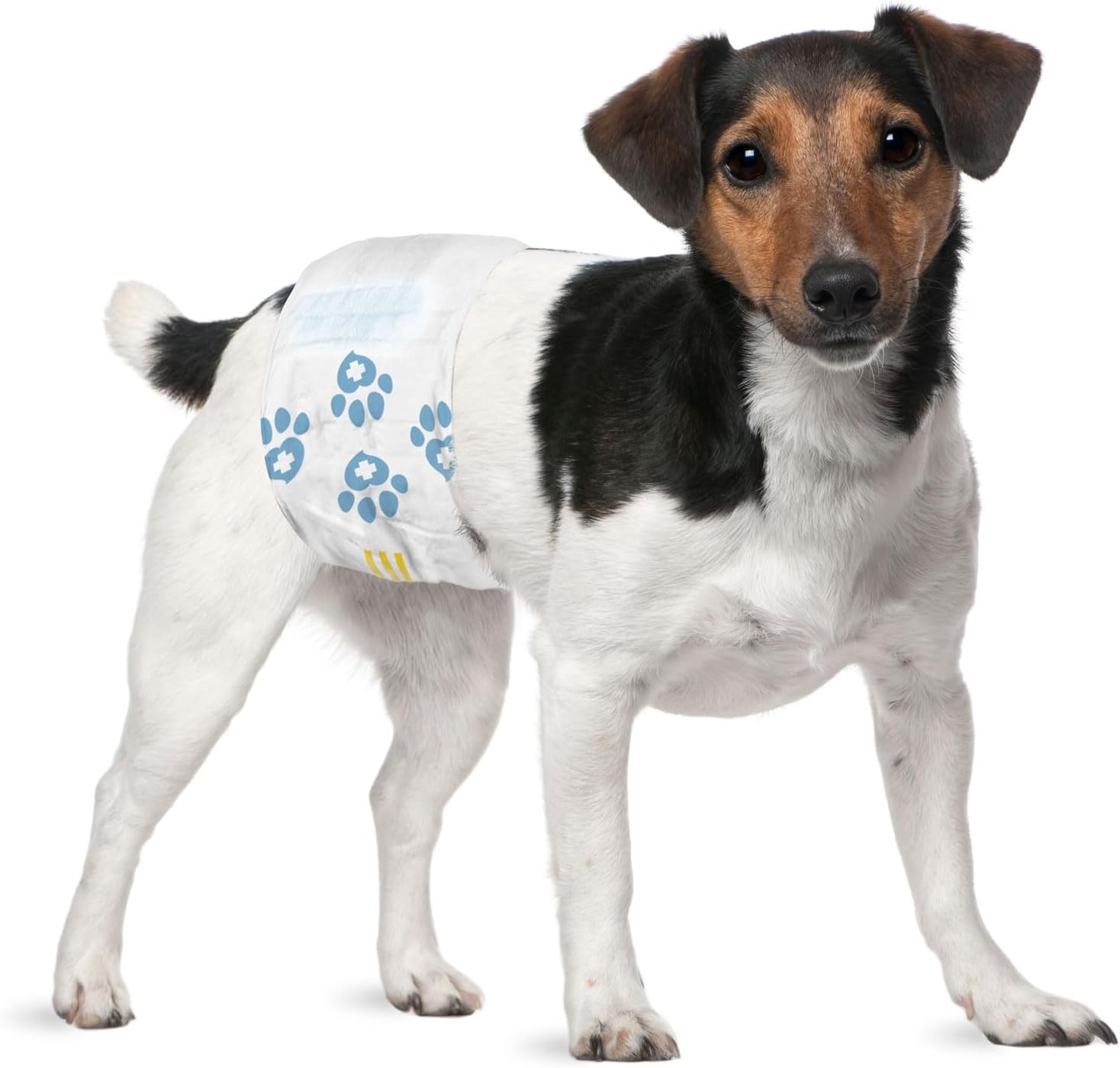 Male Wraps for Dogs - Disposable Diapers with Odor Control