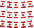 Canada Flags Small String Mini Flag Pennant Banner Decorations - 38ft