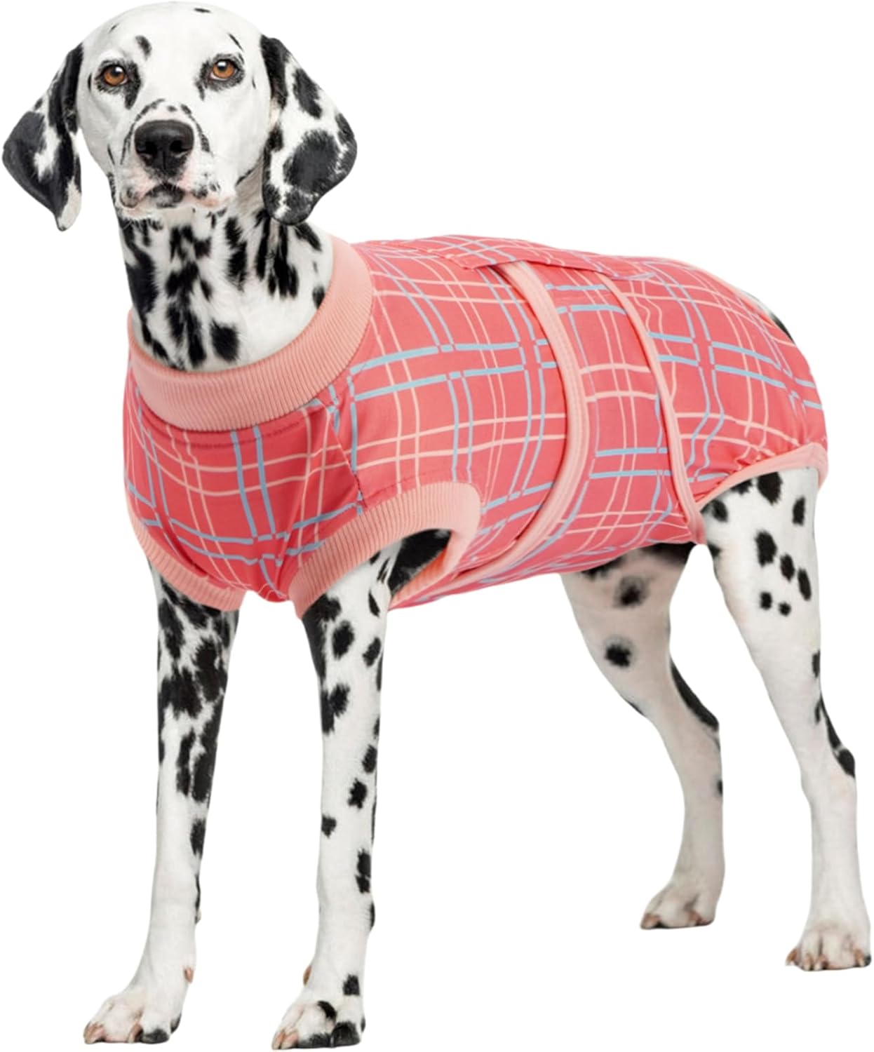 Kuoser Dog Recovery Suit for Post-Surgery Comfort and Care