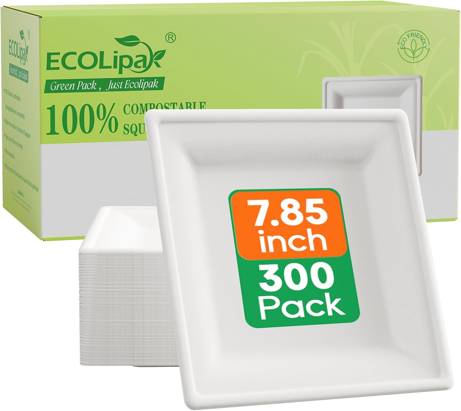 Compostable Square Paper Plates for Eco Friendly Dining Needs