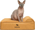 NOAH & PAW Small Dog Bed 20x15x6.5 in - Orthopedic Support