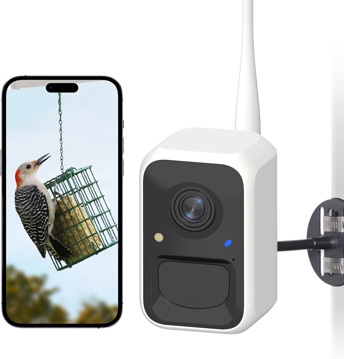 NETVUE Smart Bird Feeder Camera - AI Species ID