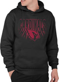Arizona Cardinals Team Spotlight Pullover Hoodie - Game-Day Comfort
