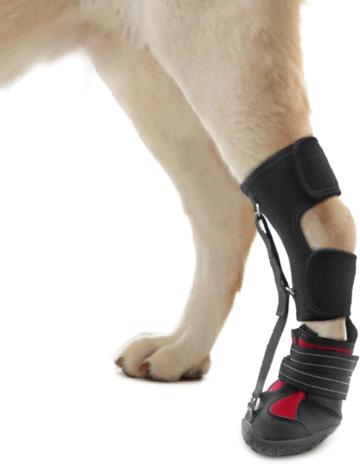 Strap-On Drop Foot Brace for Dogs - Supportive Dog Shoes