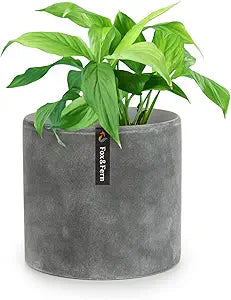 Fox & Fern 8 Inch Plant Pots for Indoor Plants - Modern Design