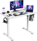 STARY Electric Standing Desk Adjustable Height 48 x 24 in - Ergonomic