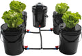 5-Bucket Hydroponic DWC System - Grow Anywhere!