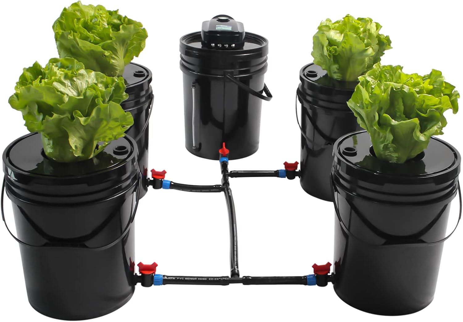 5-Bucket Hydroponic DWC System - Grow Anywhere!