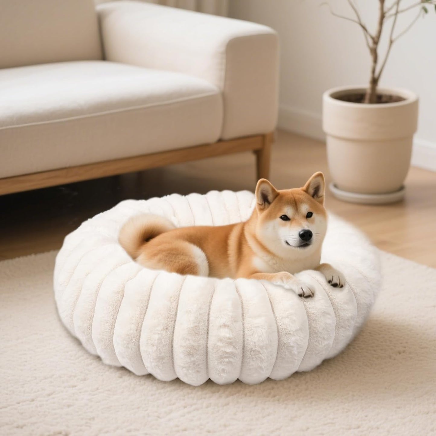Donut Dog and Cat Bed for Small Medium Pets, Cozy & Calming