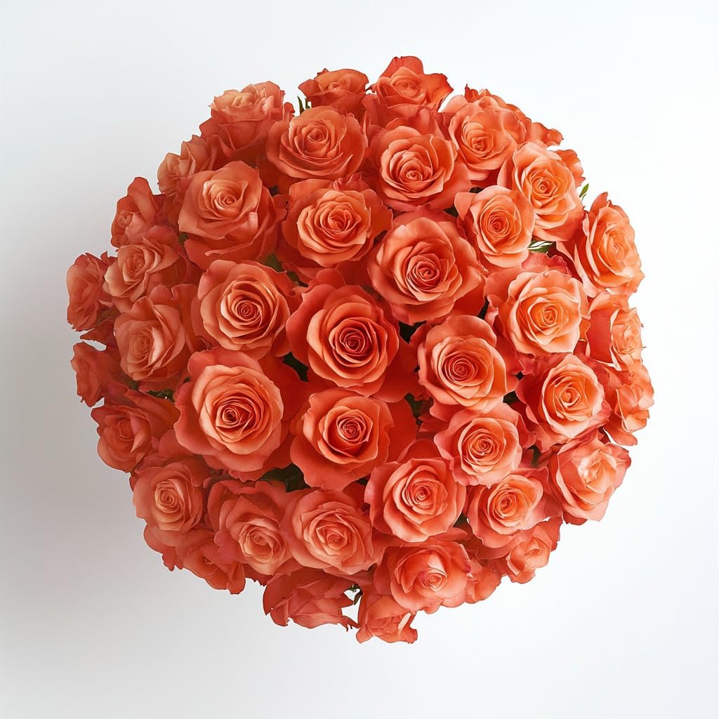 24 Orange Roses Bouquet - Fresh Farm Flowers for Every Occasion