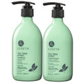 Tea Tree Mint Shampoo and Conditioner Set - Scalp Clarifying Care