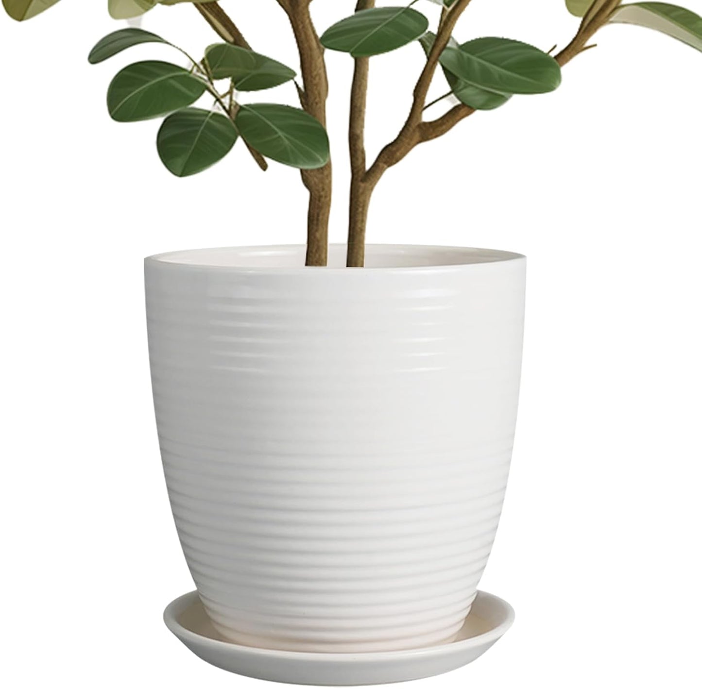 10 Inch Ceramic Planter Pot with Drainage Hole for Plants