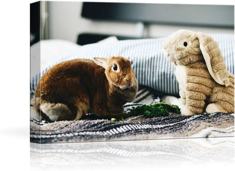 Custom Canvas Prints for Pets and Animals - Personalized Art