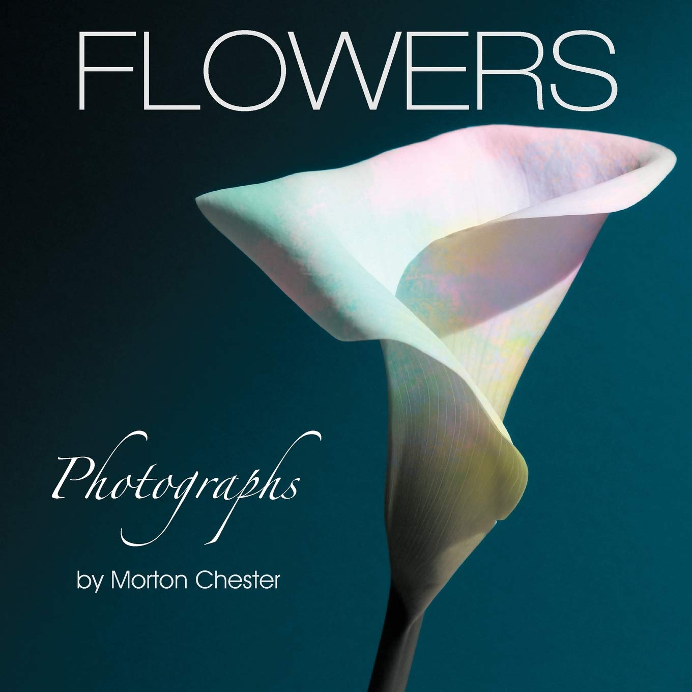 Flowers by Morton Chester - A Vibrant Floral Experience for All
