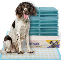 PETSWORLD Giant Dog Potty Pads 36 in x 36 in - Extra Absorbent