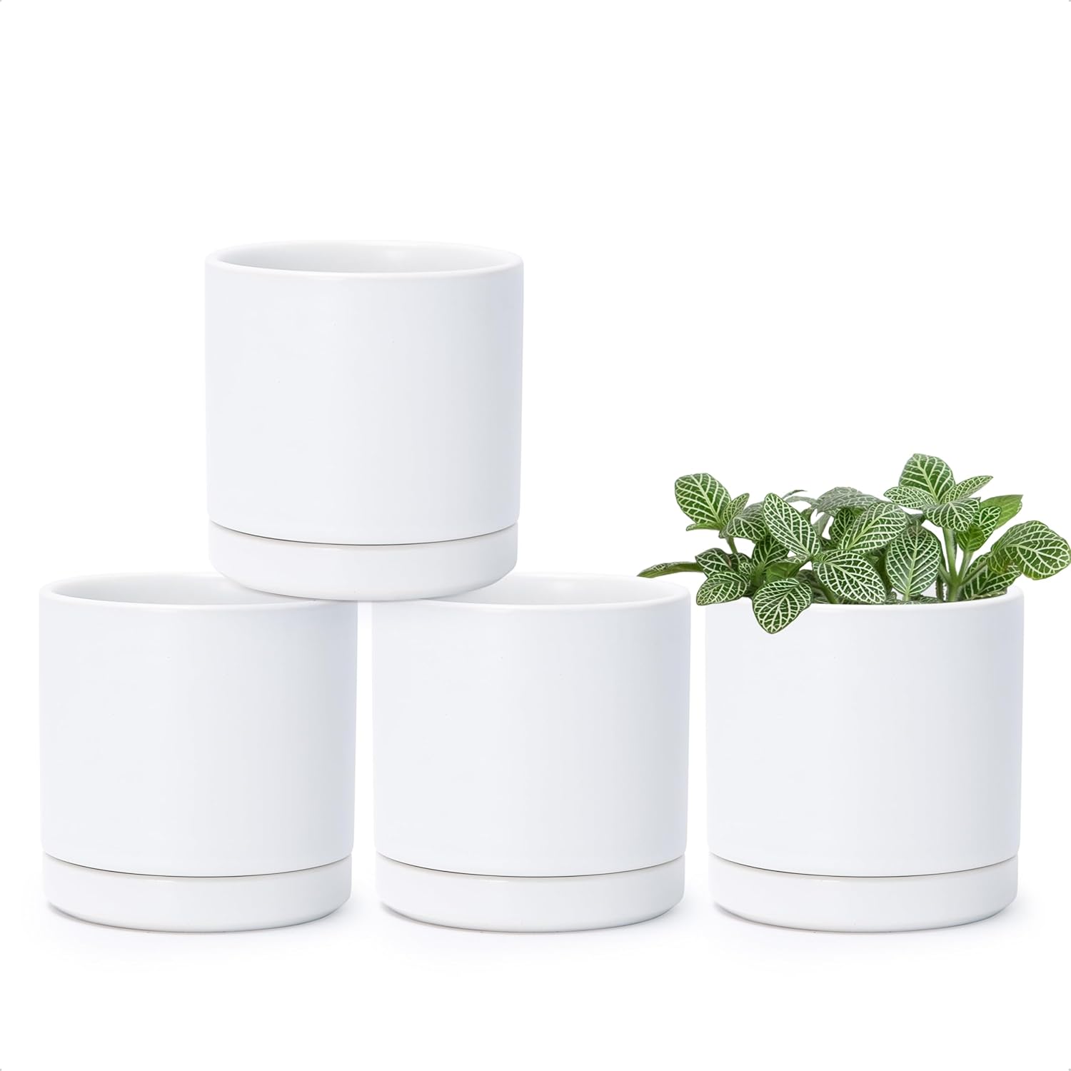 D'vine Dev Set of 4 Small Ceramic Plant Pots for Succulents