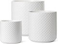 LE TAUCI Ceramic Plant Pots Indoor Set of 3 for All Plants