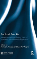 The Roads from Rio: Lessons from Twenty Years of Environmental