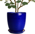Ceramic Planter Pot 10 in Round Blue - Modern Indoor Planter